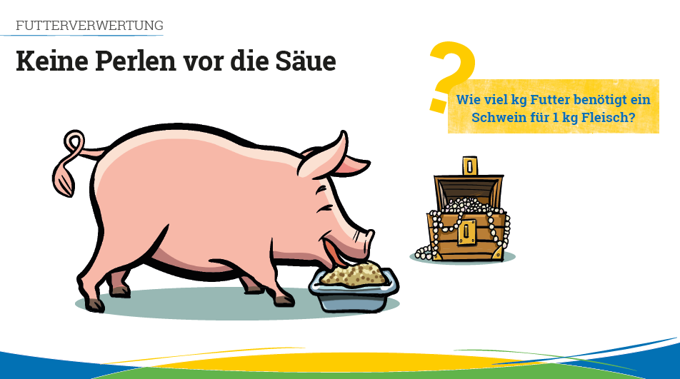 Zuchterfolge Schweine Zuchterfolge Schweine