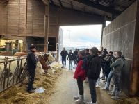 Betriebsführung Milchviehstall