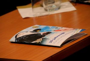 IMG 4775