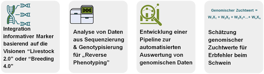 Projekt